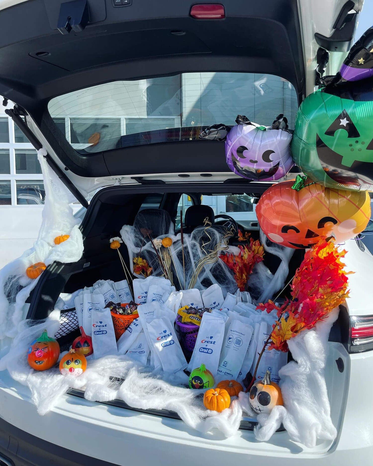 community outreach trunk